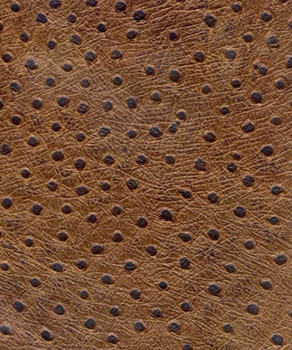 Ostrich Chestnut
