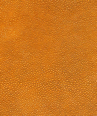 Shagreen Tangerine