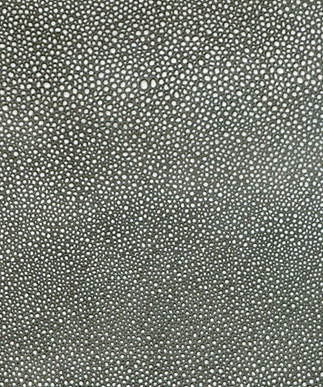 Shagreen Black