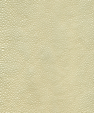 Shagreen Ivory