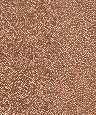 Shagreen Silver Salmon