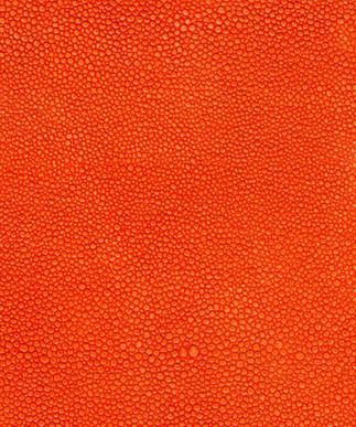 Shagreen Orange