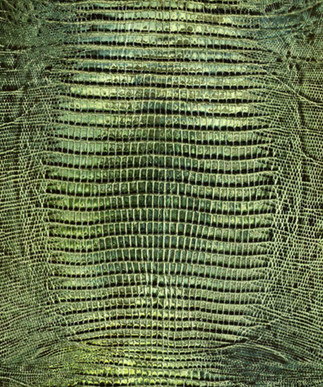 Lizard Light Green