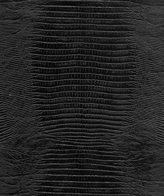 Lizard Black