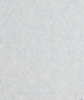 Glacier G10
