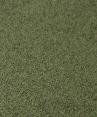 Thyme G22
