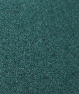 Sycamore G109