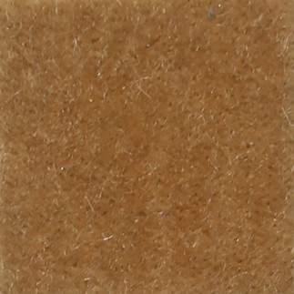 Nevada Camel