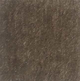 Nevada Mink