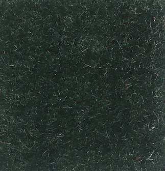 Nevada Dark Kale
