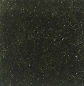 Nevada Olive