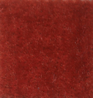 Nevada Bark