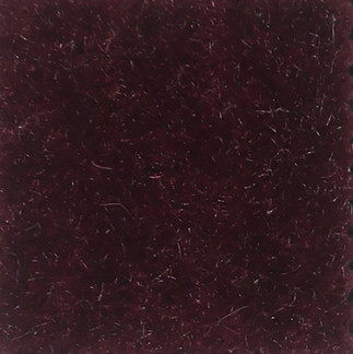 Nevada Elderberry