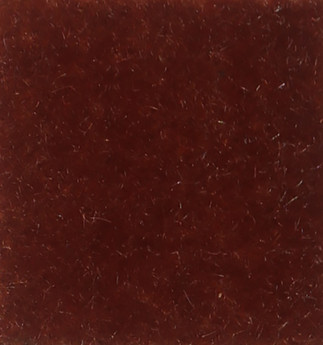 Nevada Cinnamon