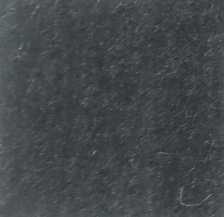 Nevada Shark Skin