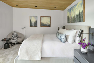 Karen White Interior Design Basalt 010