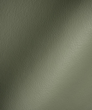 Classico Avocado