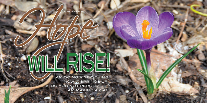 Church Banner featuring Tulip with Hope Will Rise Theme