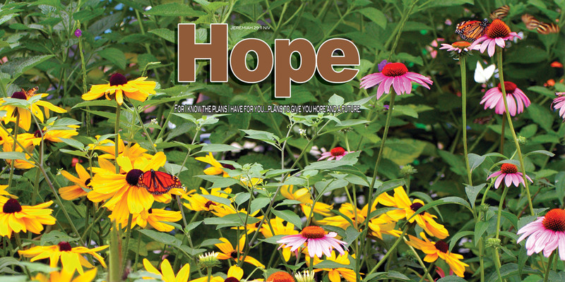 Church Banner featuring Flowers and Butterflies with Hope Theme