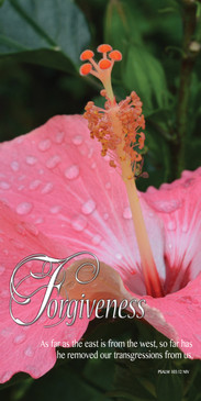 Church Banner featuring Pink Hibiscus with Forgiveness Theme