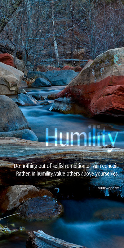 Church Banner featuring Frozen Brook with Humility Theme