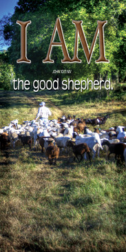 Church Banner featuring Man Leading Sheep with I Am The Good Shepherd Theme