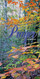 Church Banner featuring Colorful Fall Leaves with Prayer Theme