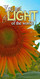 Church Banner featuring Sunflower with Light of the World Message