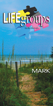 Church Banner featuring Path to Beach with Life Groups Theme