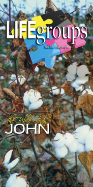 Church Banner featuring Ripe Cotton with Life Groups Theme