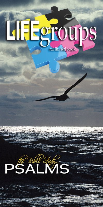 Church Banner featuring Seagull/Sunset with Life Groups Theme