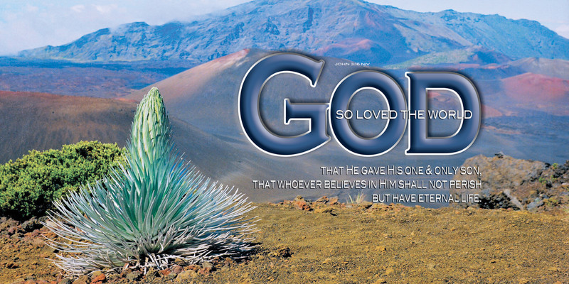Church Banner featuring Silversword/Mt. Haleakala with Love of God Theme