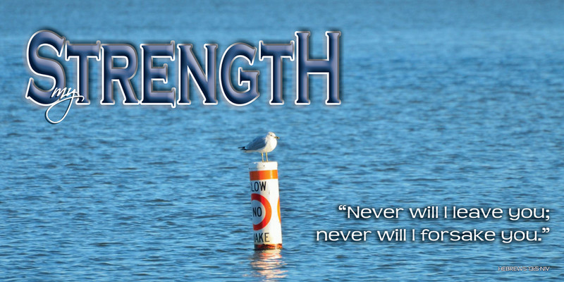 Church Banner featuring Lonely Seagull with Motivational Theme