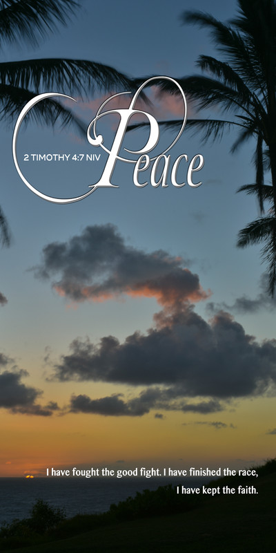 Church Banner featuring Tropical Night Sky with Peace Theme