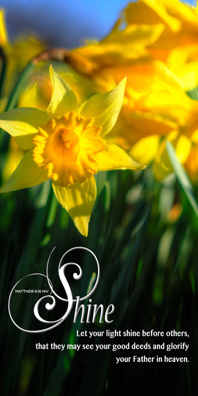 Church Banner featuring Daffodils with Let Your Light Shine Theme