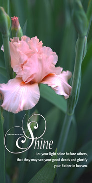 Church Banner featuring Pink Iris with Matthew 5:16 Theme