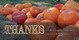 Church Banner featuring Pumpkin Pile with Thanksgiving Theme