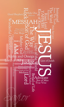 Names of Jesus Church Banners SKU17