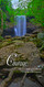 Church Banner featuring Cascading Waterfall in Forest with Courage Theme