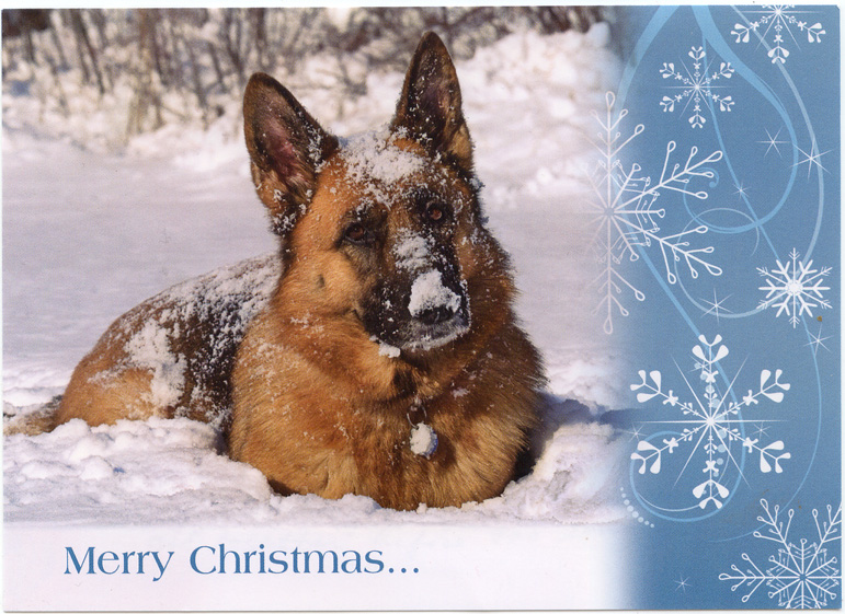 german-shepherd-dog-christmas-card.jpg german-shepherd-dog-christmas-card.jpg