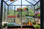 Glory™ Premium Class Greenhouse Interior