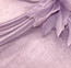 Close-up of Lavender H913