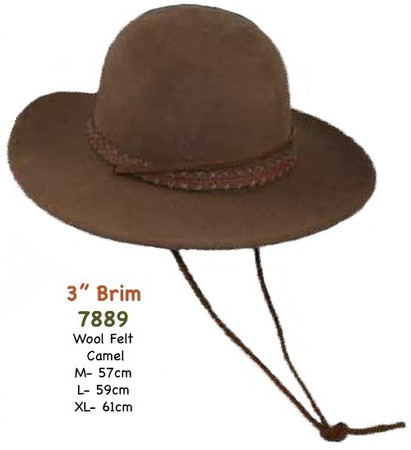 Tall Crown Brown Wool Felt Hat with 