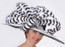 Black and White Madison Ave Feather Kentucky Derby Hat