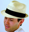 Stingy Brim Panama Hat