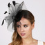 Contrasting Feather Fascinator