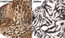 Cheetah Print and Leopard Print Faux Fur Hat