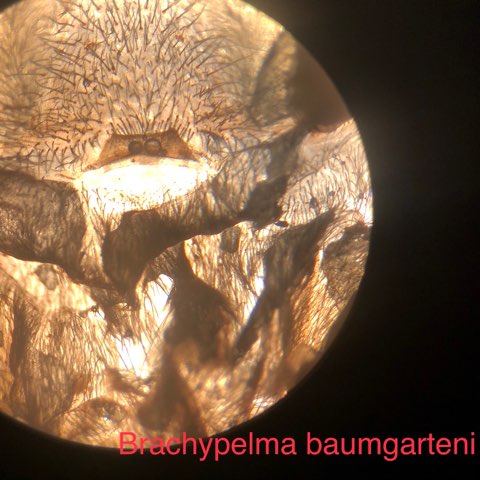img-1593-1-.jpg