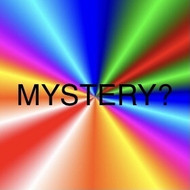 $400 Isopod Mystery Box