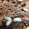 Image 3 Image 3